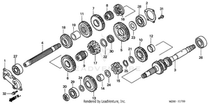 Transmission Schematic