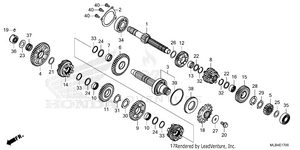 Transmission Schematic