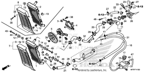 Radiator Schematic