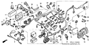Wire Harness (1) Schematic