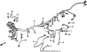Wire Harness + Ignition Coil Schematic