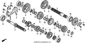 Transmission Schematic
