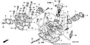 Cylinder Head Schematic