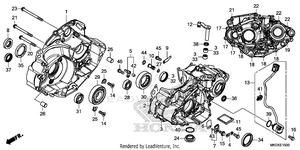 Crankcase Schematic