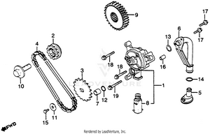 Oil Pump + Primary Drive Gear Schematic