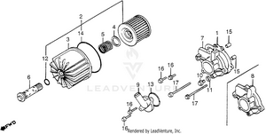 Oil Filter + Water Pump Cover Schematic