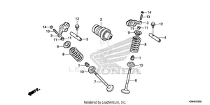 Camshaft + Valve Schematic