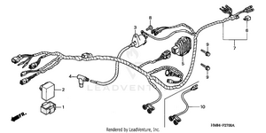 Wire Harness Schematic