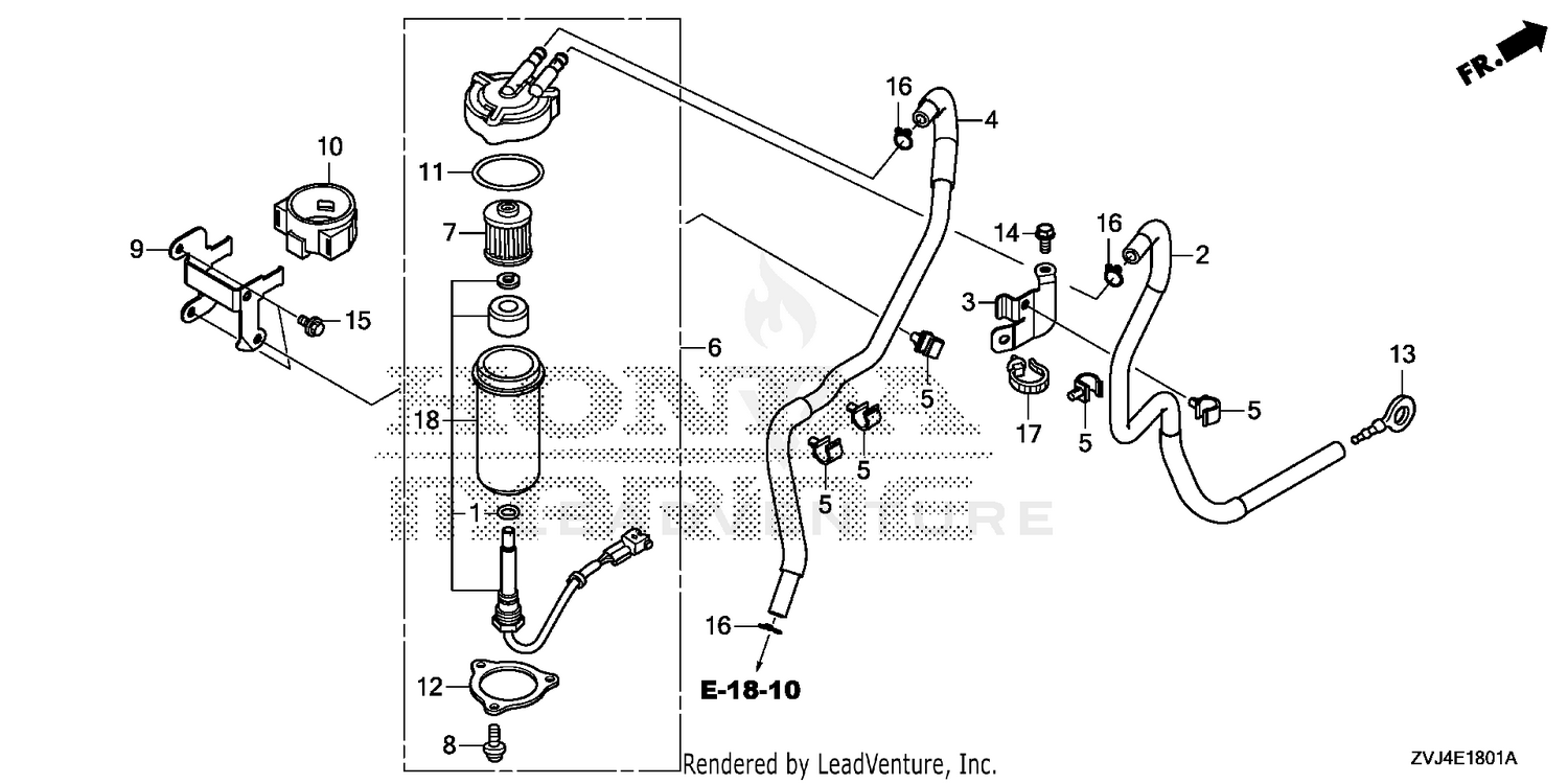 FUEL STRAINER (1)
