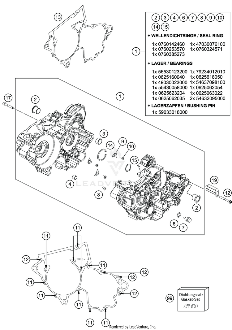 Engine Case TC 250 Engine - 2021 Schematic