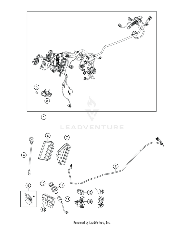 Wiring Harness Schematic