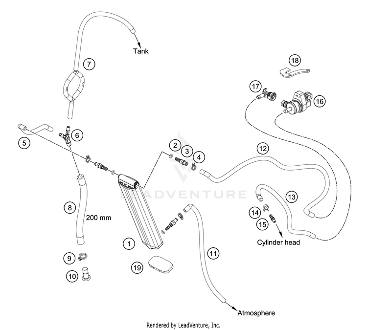 Evaporative Canister FE 350 CHASSIS - 2021 Schematic
