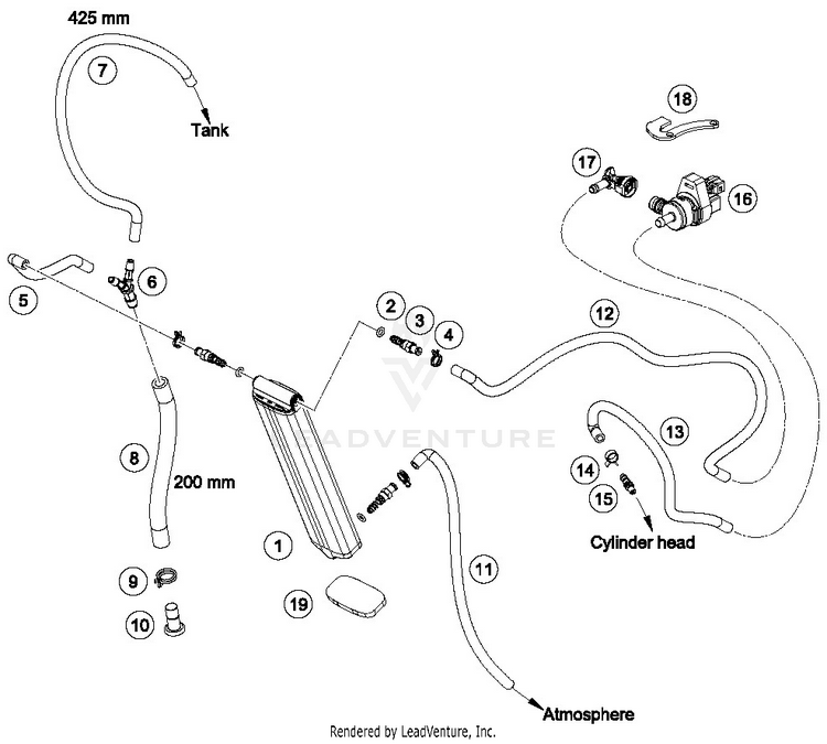 Evaporative Canister FE 501 CHASSIS - 2019 Schematic
