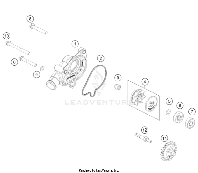 Water Pump TC 250 ENGINE - 2025 Schematic