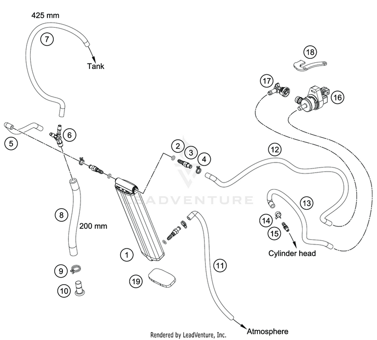 Evaporative Canister FE 350 CHASSIS - 2020 Schematic