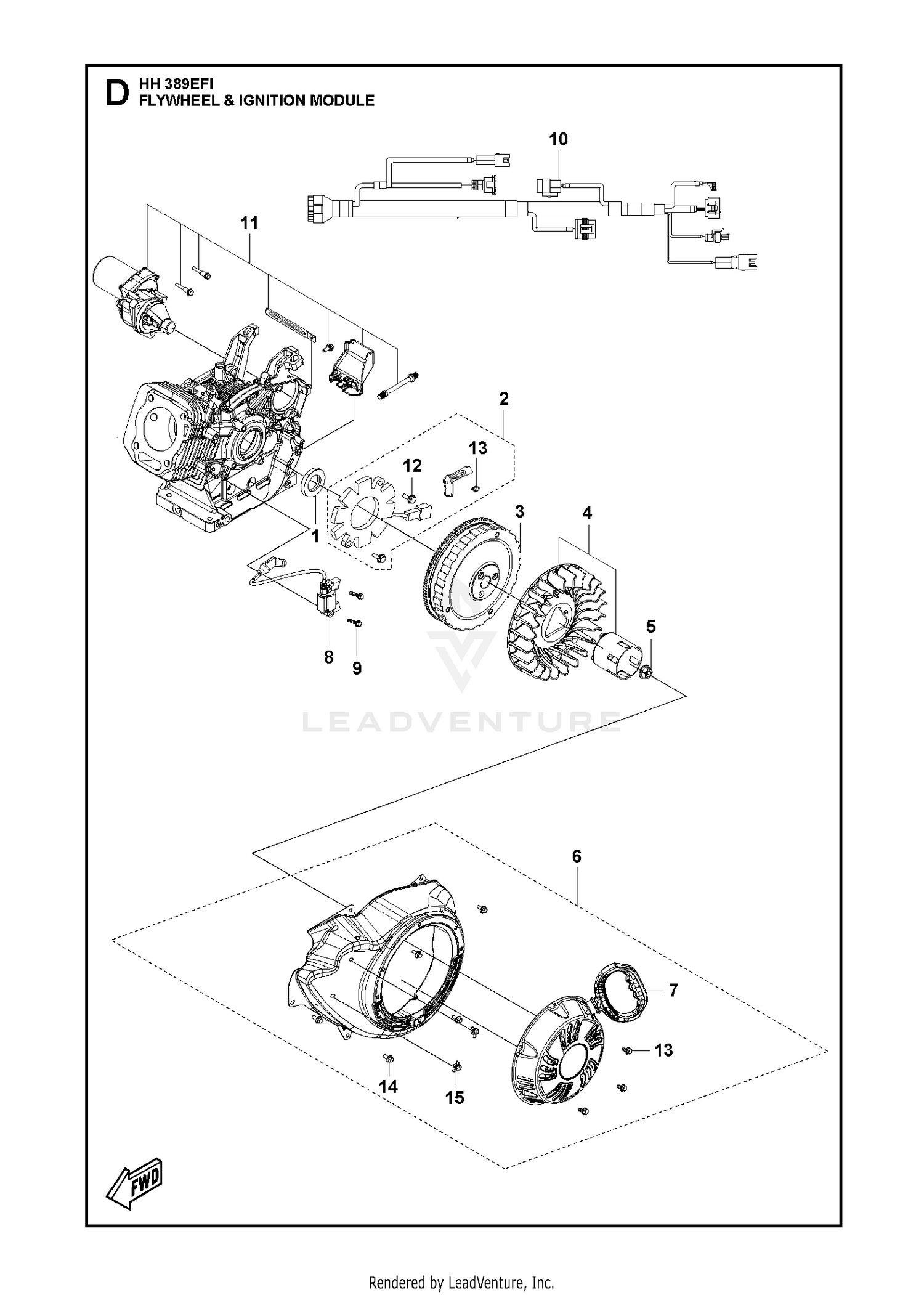 FLYWHEEL & IGNITION MODULE