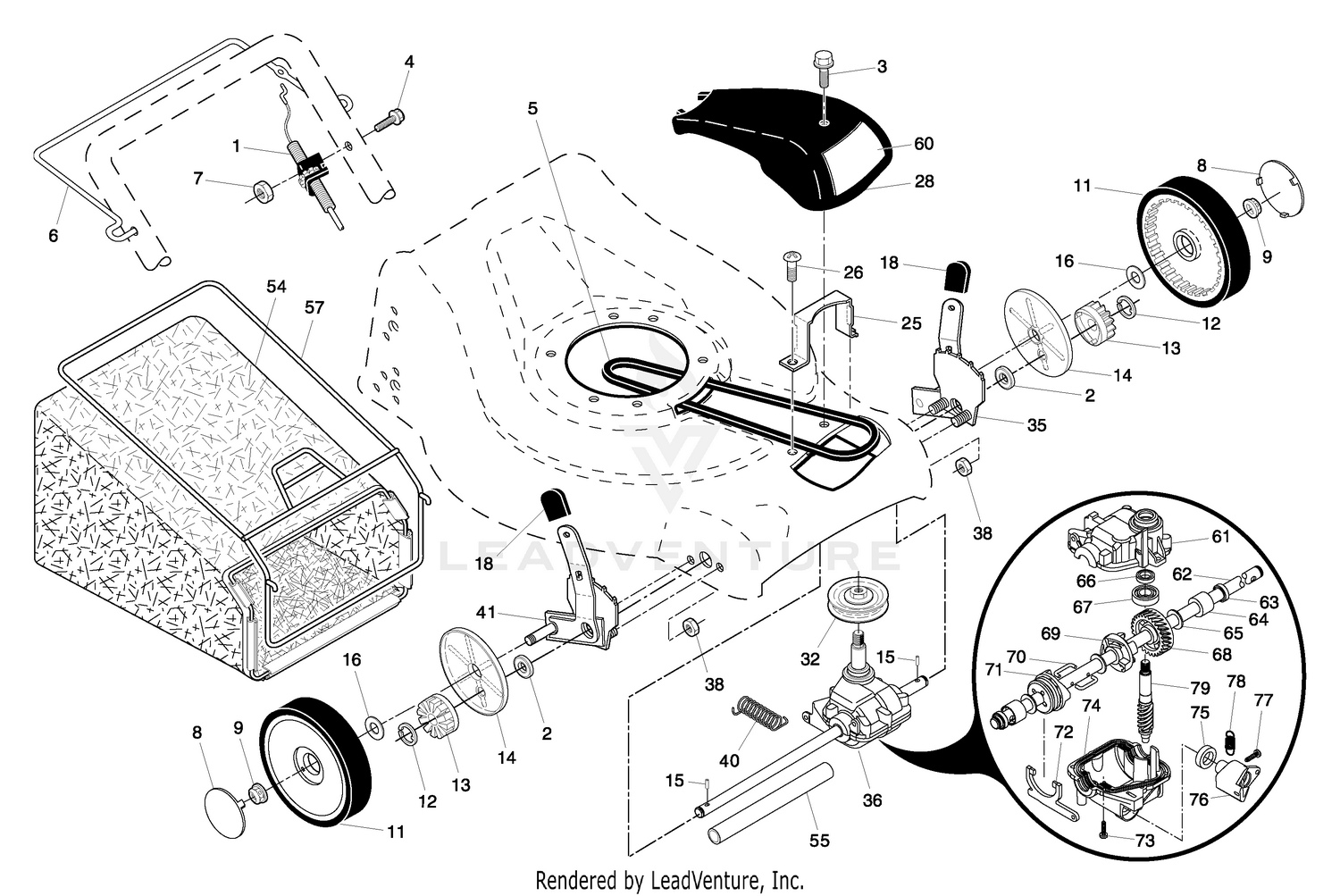 Drive Assembly