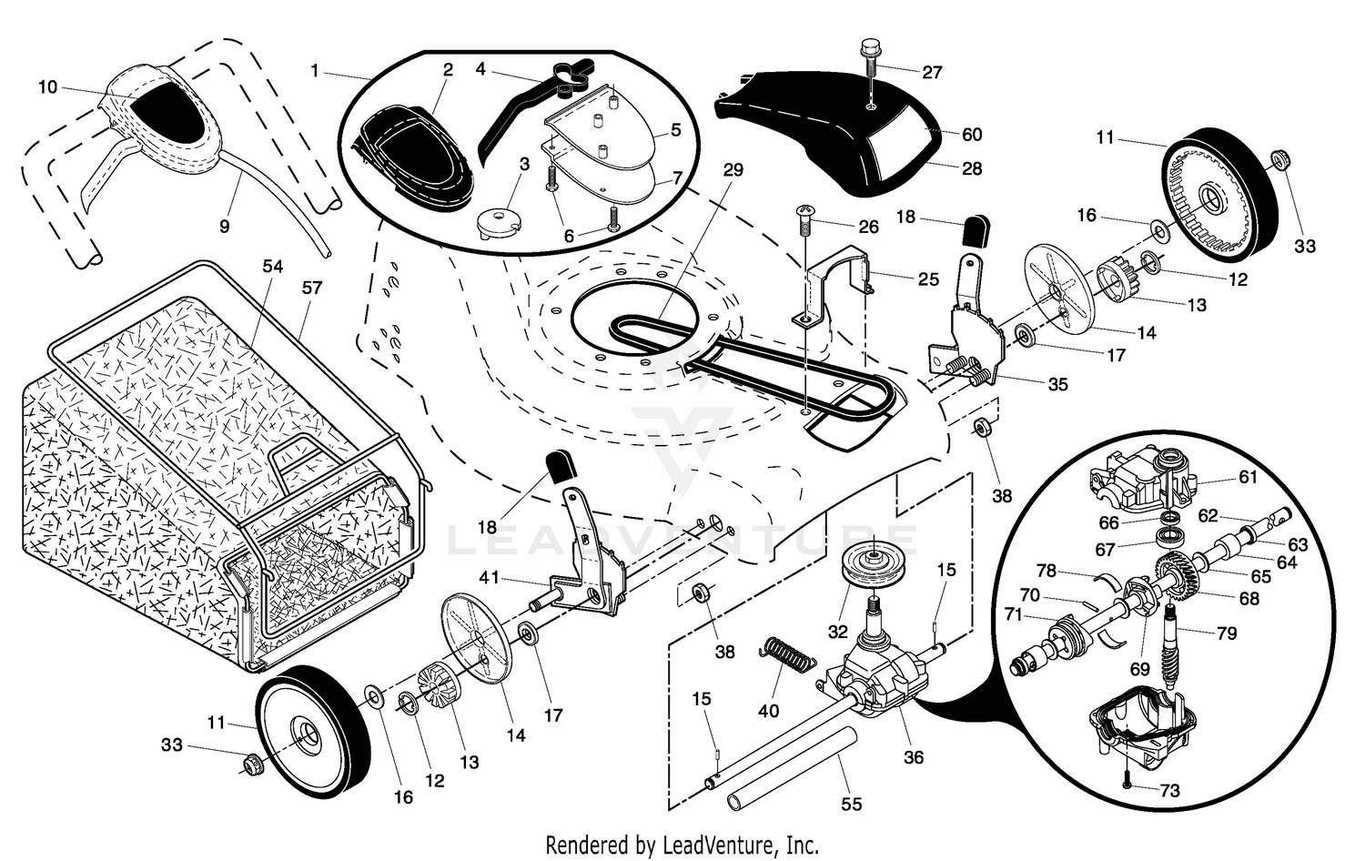Drive Assembly