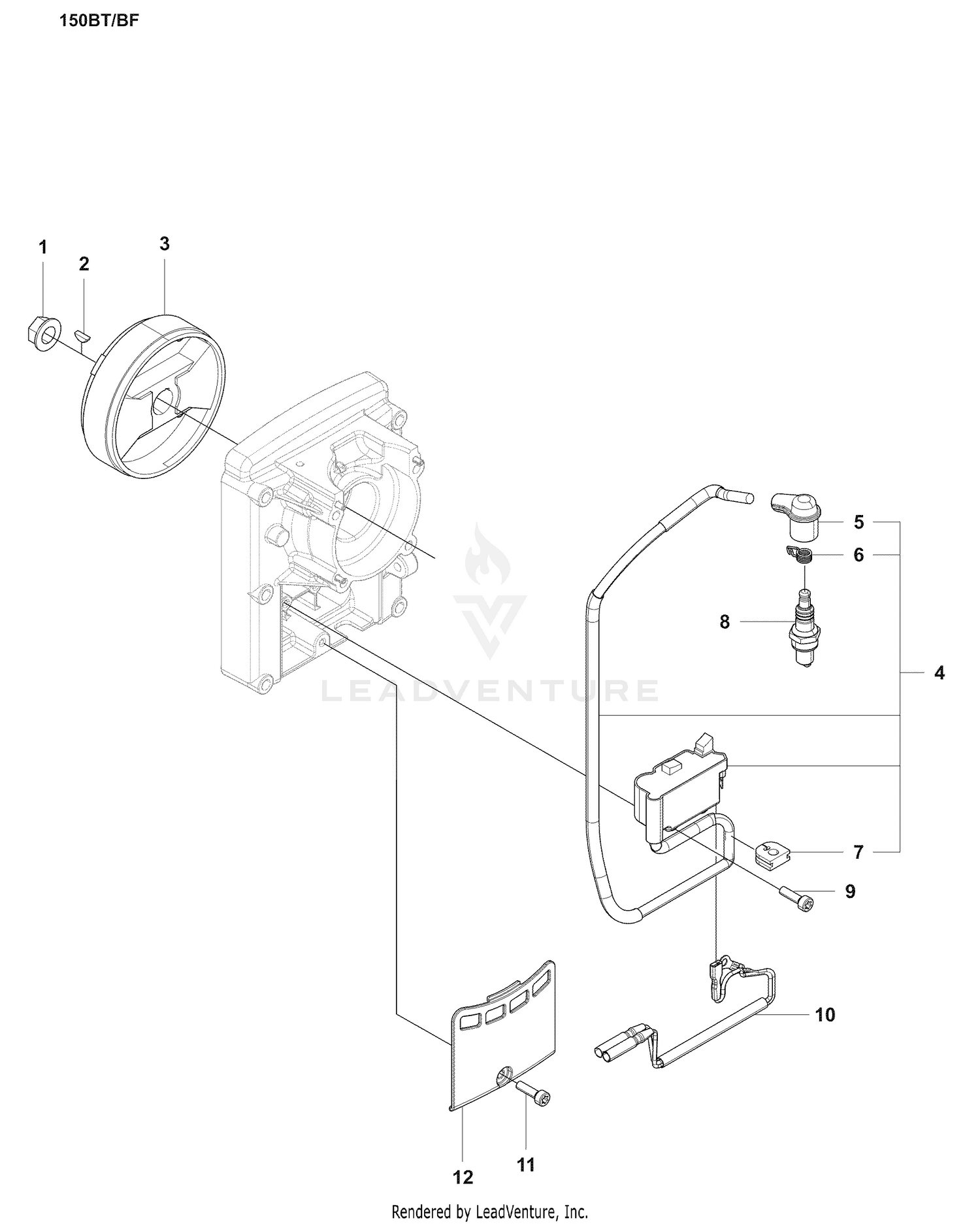 Ignition / Flywheel