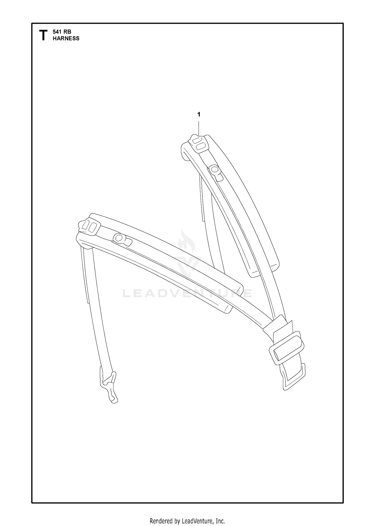 HARNESS