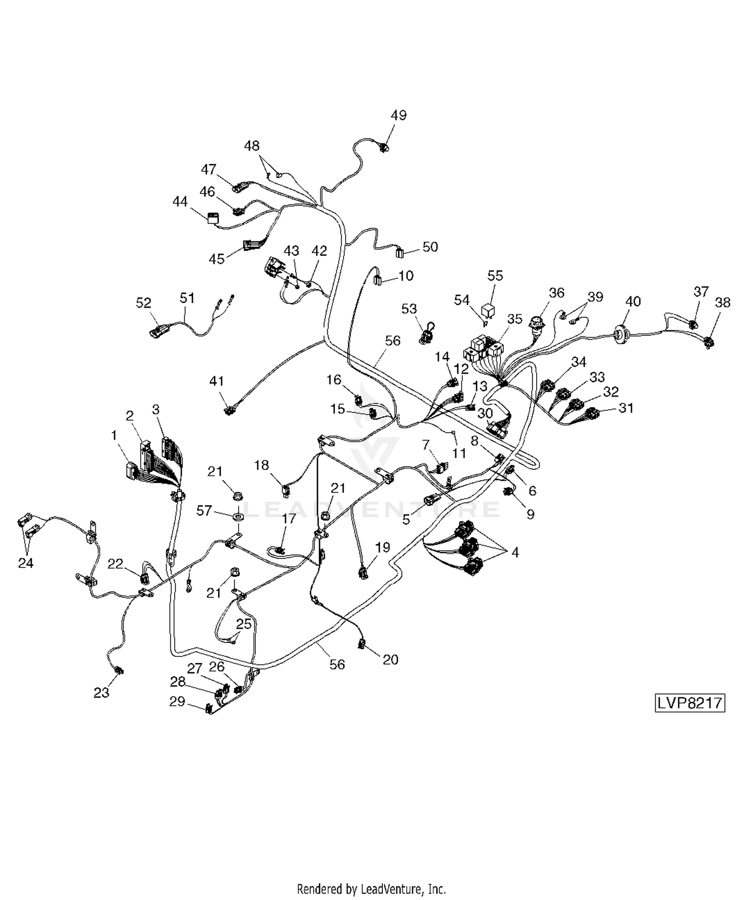 Arimain Weingartz 8096