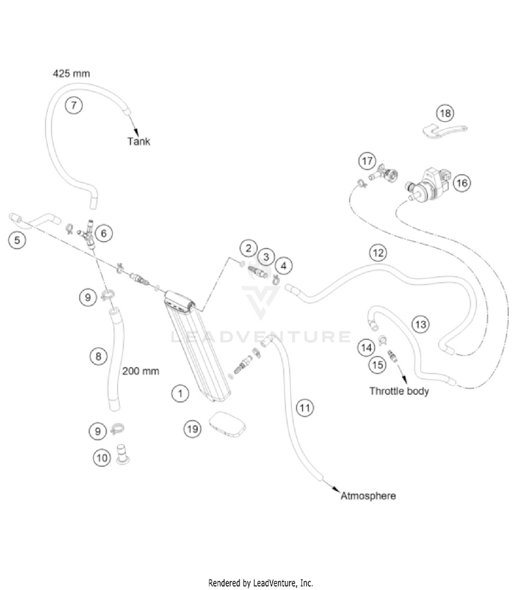 Evaporative Canister 350 EXC-F US CHASSIS - 2022 Schematic