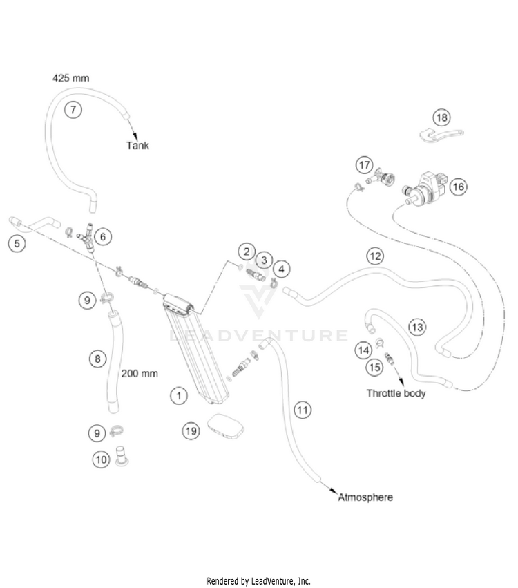 Evaporative Canister 350 EXC-F CHASSIS - 2023 Schematic