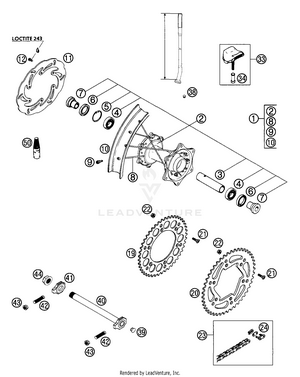 Rear Wheel Schematic
