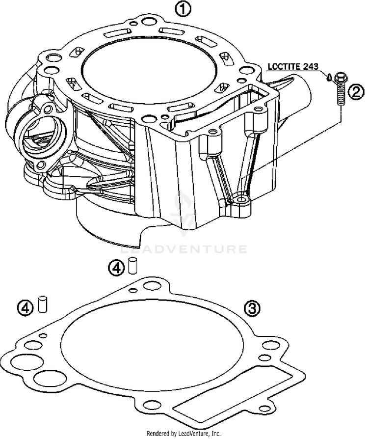 Cylinder 690 Duke Engine - 2008 Schematic