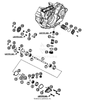 Lubricating System Schematic