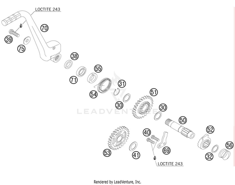 Kick Starter 150 XC Engine - 2011 Schematic