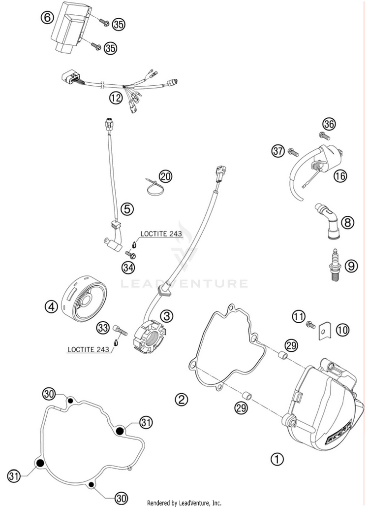 Ignition System 250 SX-F Engine - 2010 Schematic