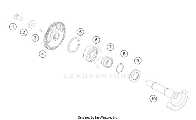 Balancer Shaft 250 XC ENGINE - 2024 Schematic