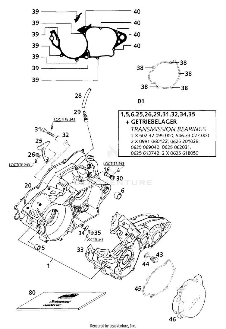 Engine Case 250 MXC Engine - 2001 Schematic