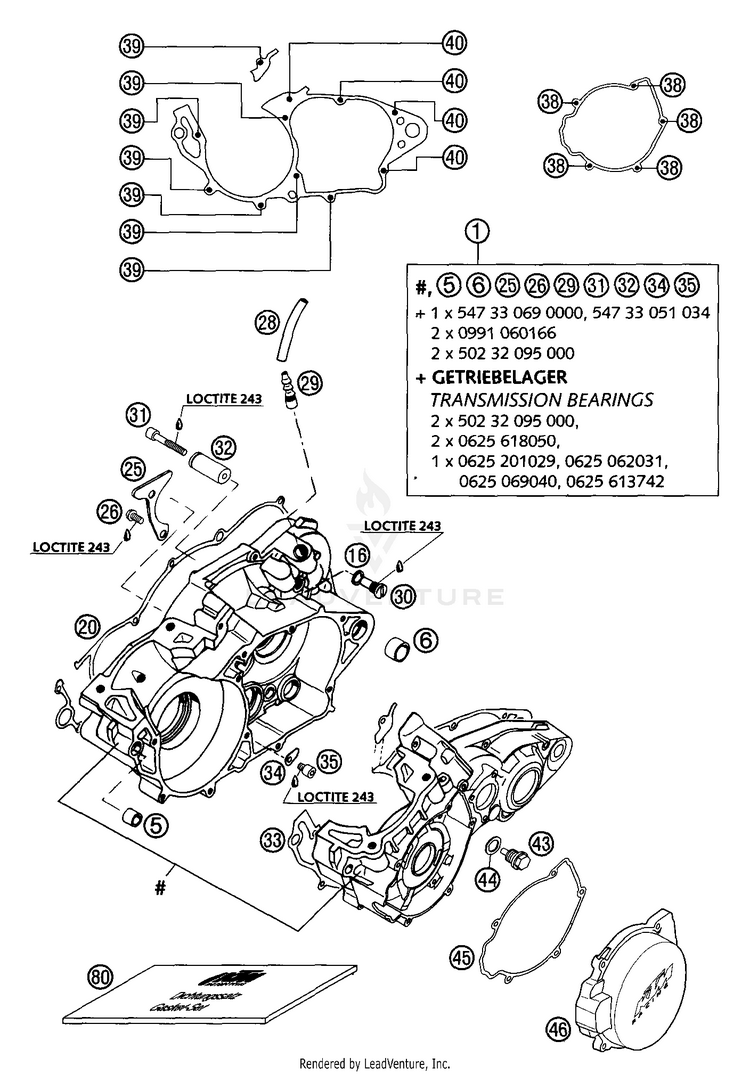 Engine Case 300 MXC Engine - 2003 Schematic