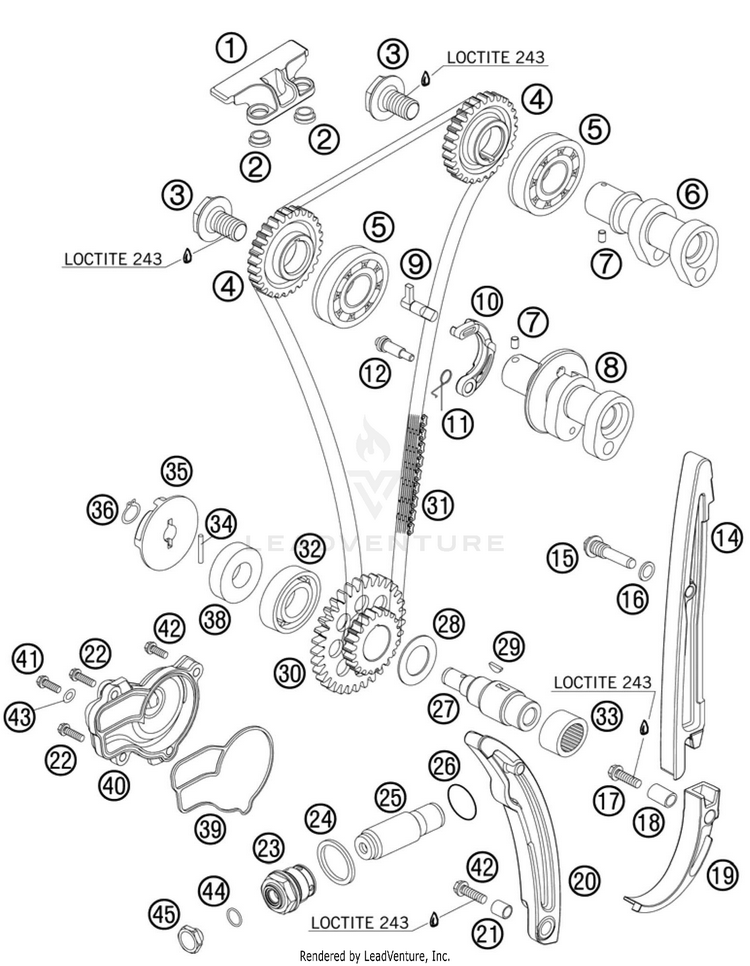 Timing Drive 250 SX-F Engine - 2010 Schematic