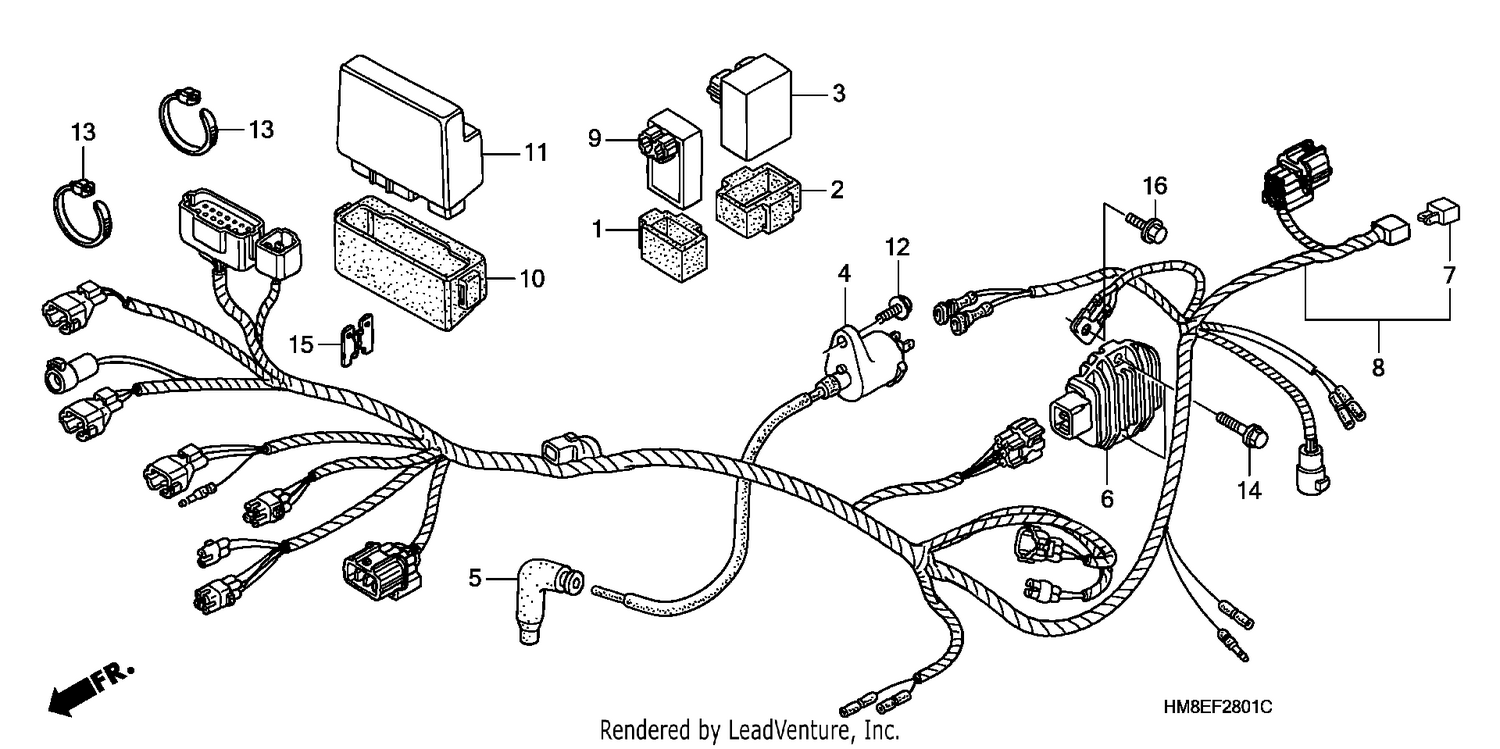 WIRE HARNESS (TRX250TE)