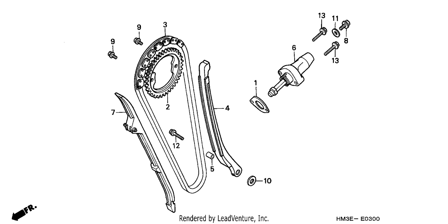 CAM CHAIN/TENSIONER