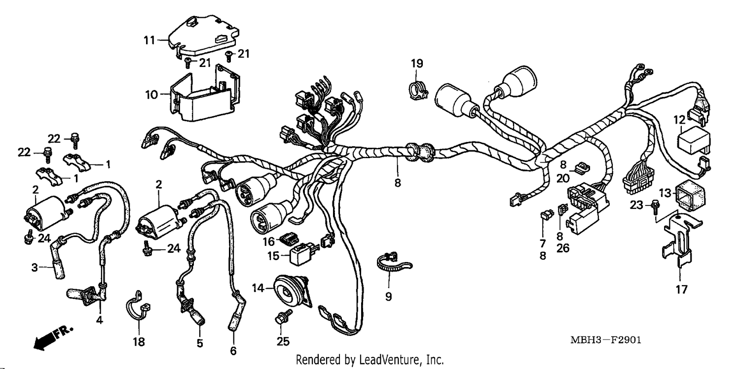 WIRE HARNESS (2)