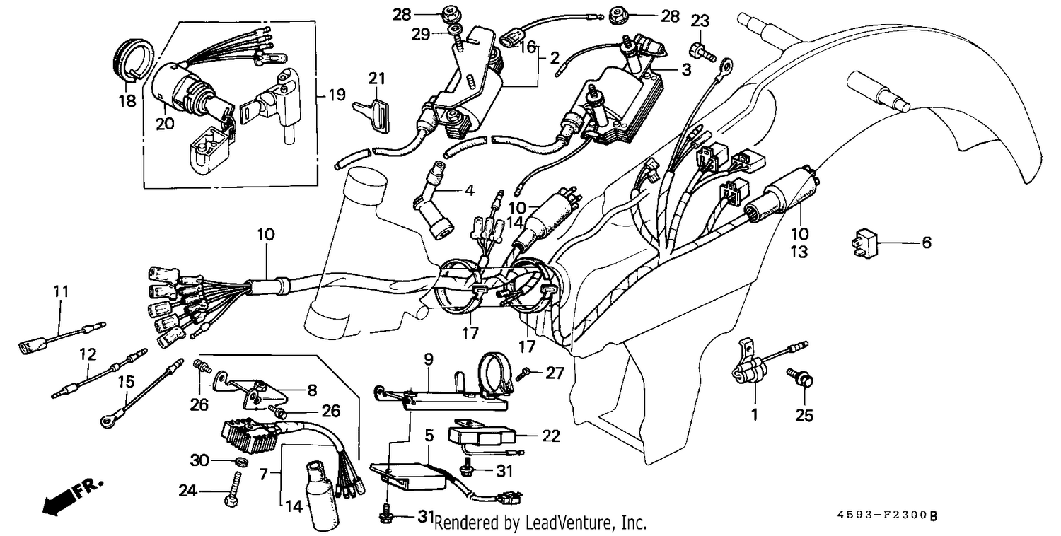 WIRE HARNESS (1)