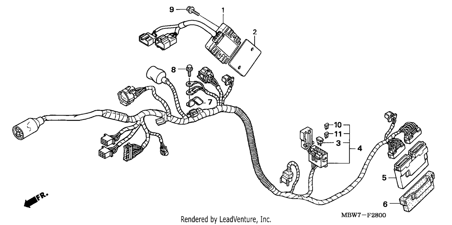 WIRE HARNESS