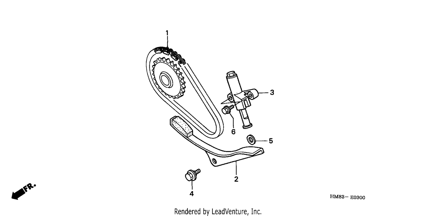 CAM CHAIN/TENSIONER