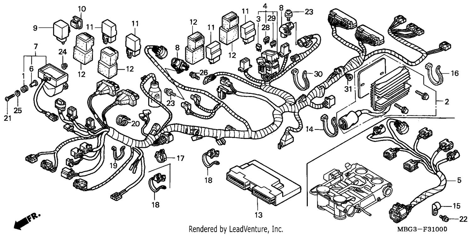 WIRE HARNESS