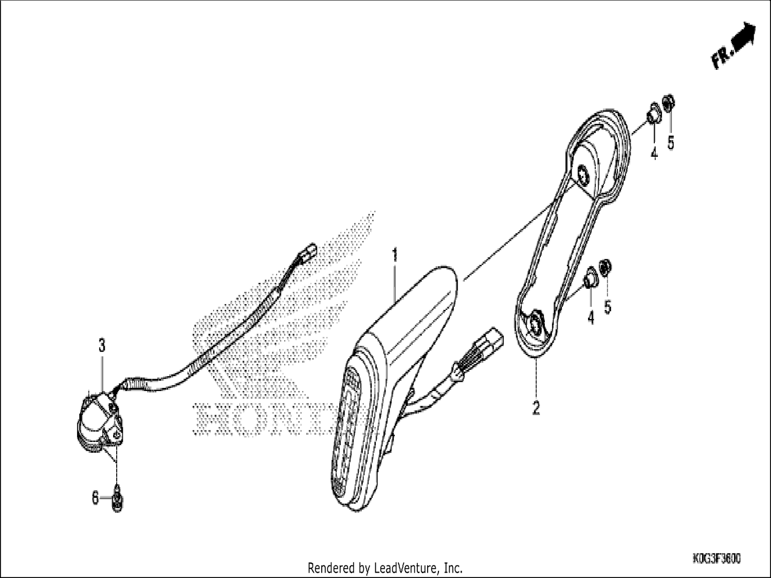 TAILLIGHT/LICENSE LIGHT