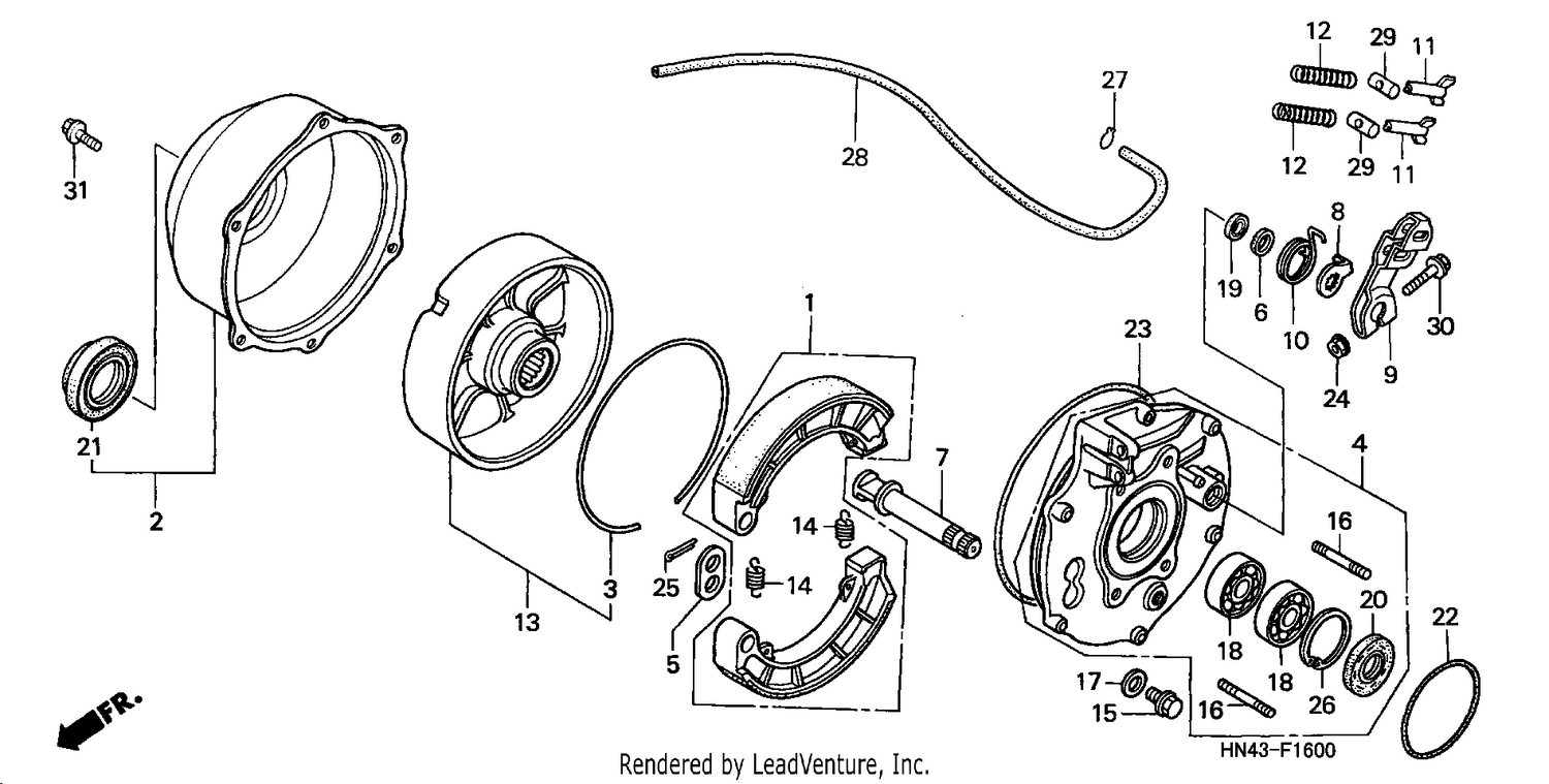 REAR BRAKE PANEL