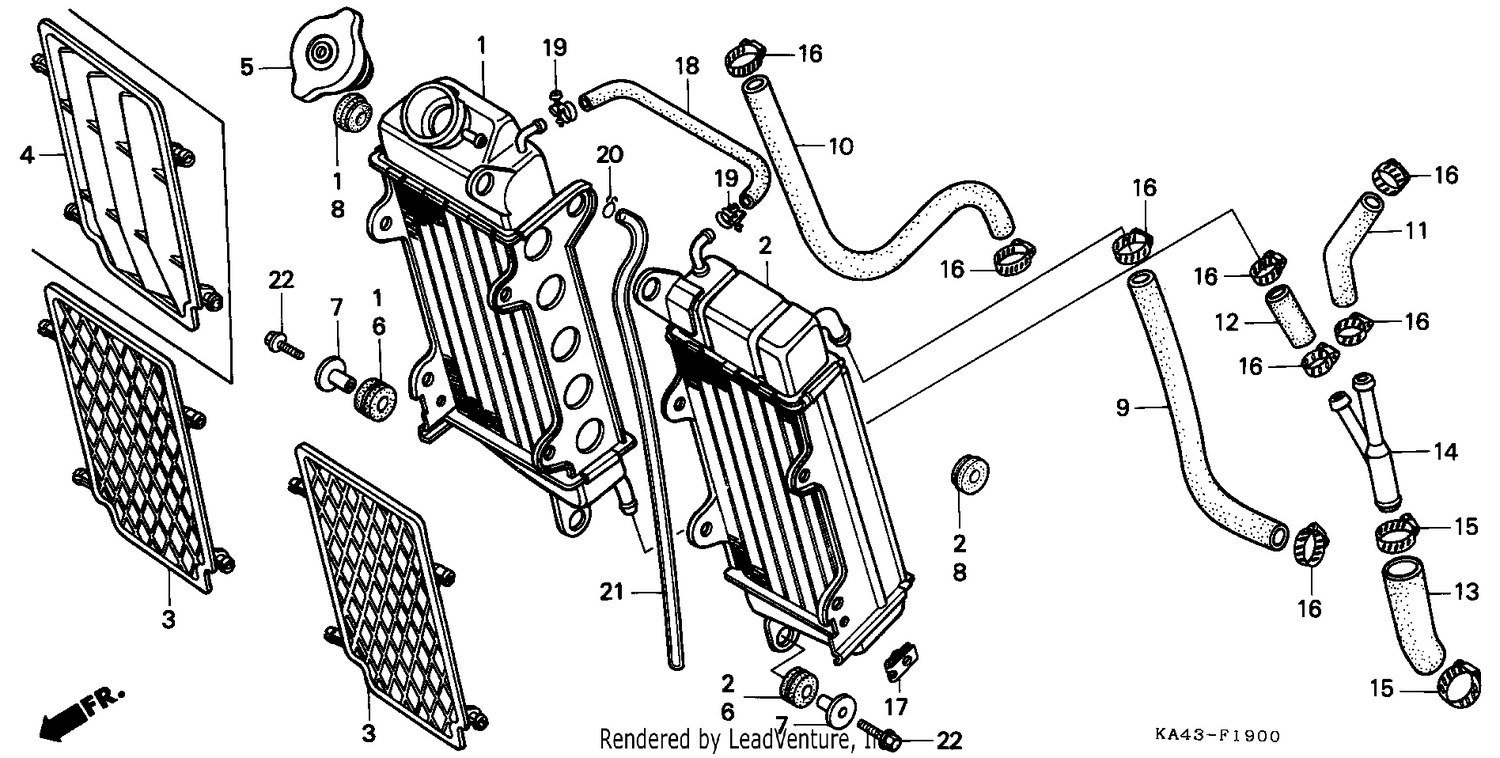 RADIATOR (1)
