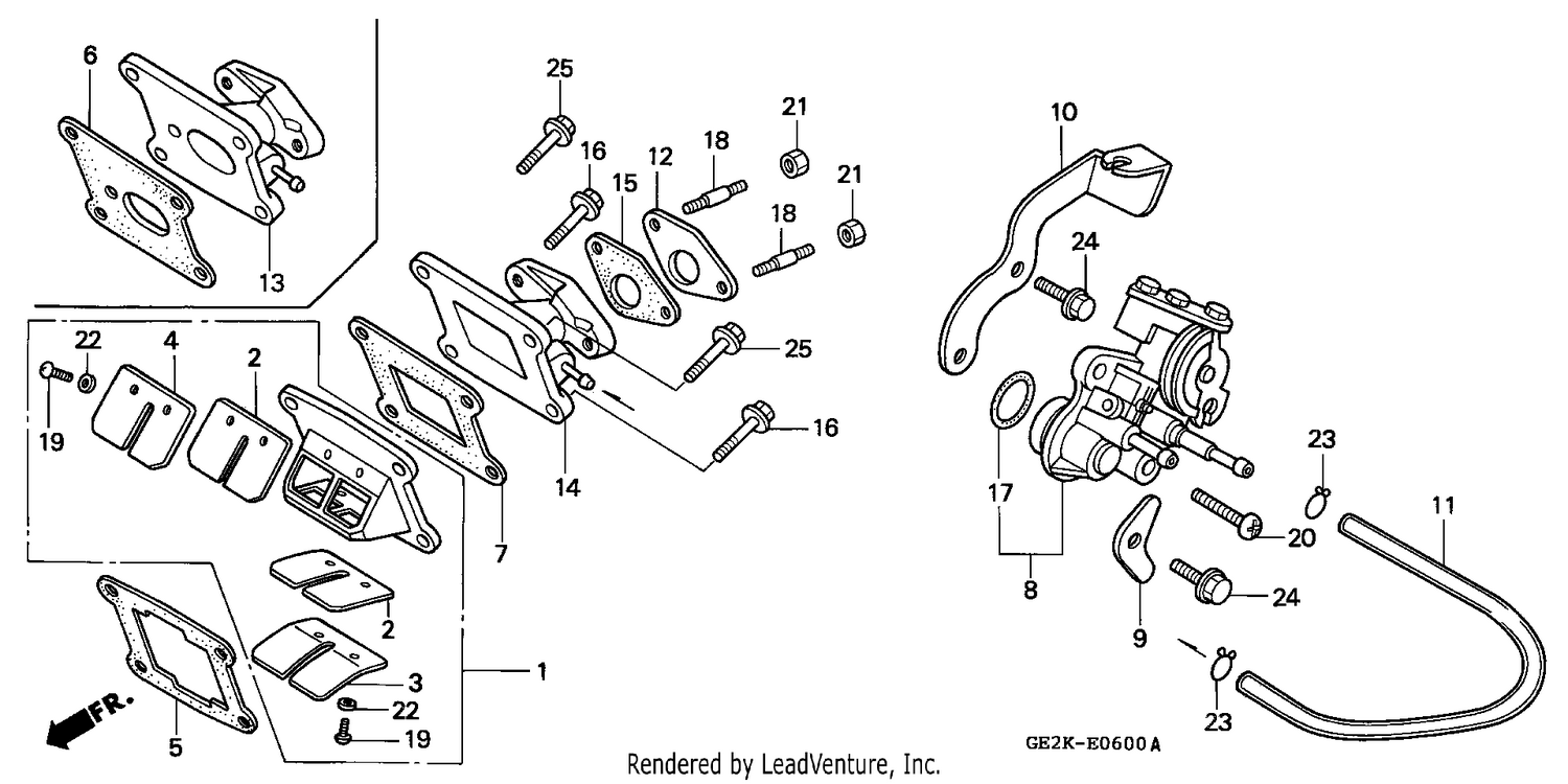 OIL PUMP