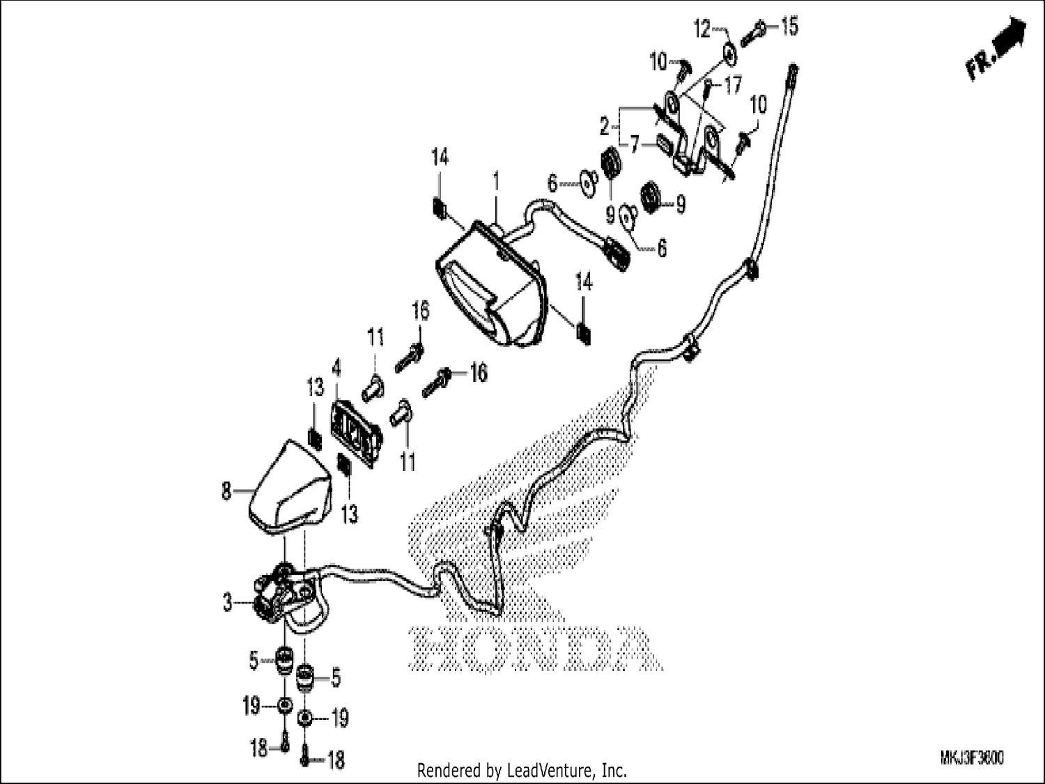  TAILLIGHT/LICENSE LIGHT