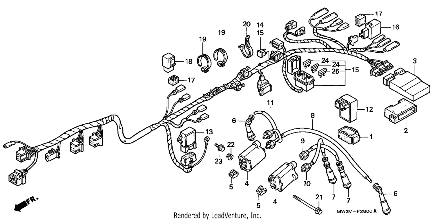 WIRE HARNESS