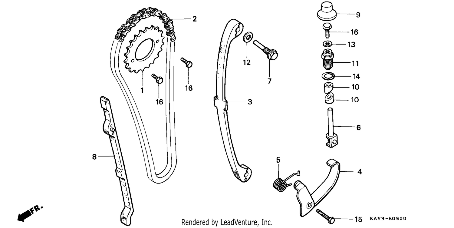 CAM CHAIN/TENSIONER